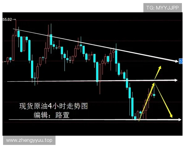 巴西队淘汰赛信息:休斯敦比赛安排更新 巴西队淘汰赛信息:休斯敦比赛安排更新